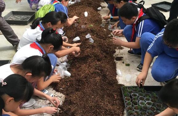 「珍稀瀕危物種霍山石斛的保護與利用展示」活動在k8凯发(中国)舉行
